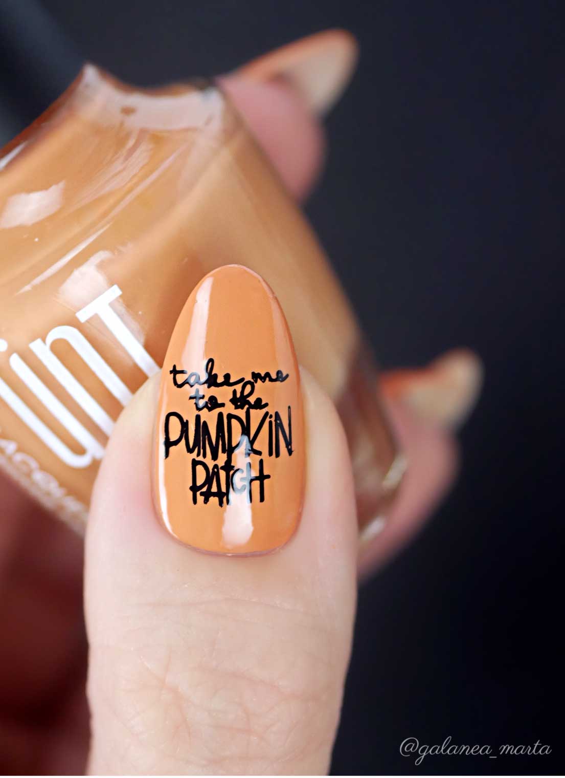 Hello Fall & Pumpkin Spice-02 - Cordoza Nail Supply