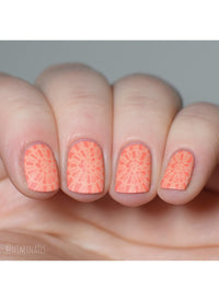 Seashells Aplenty - Cordoza Nail Supply