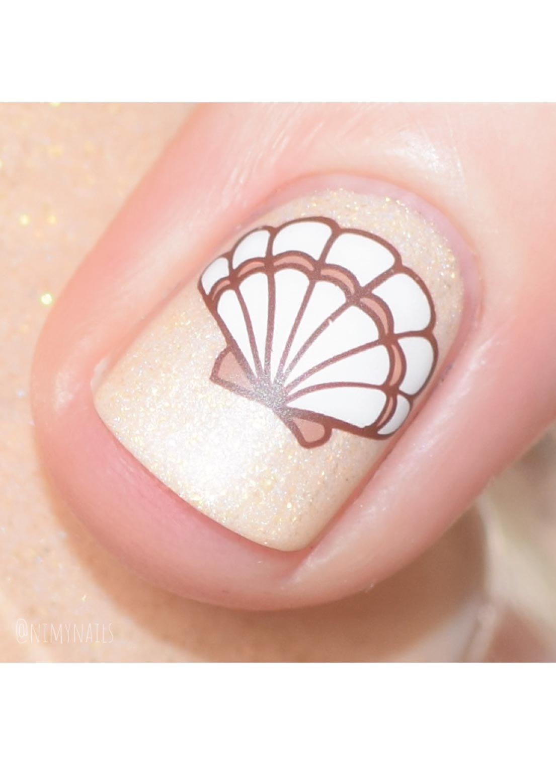 Seashells Aplenty - Cordoza Nail Supply