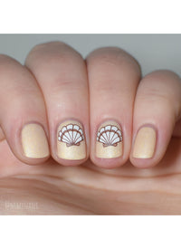 Seashells Aplenty - Cordoza Nail Supply