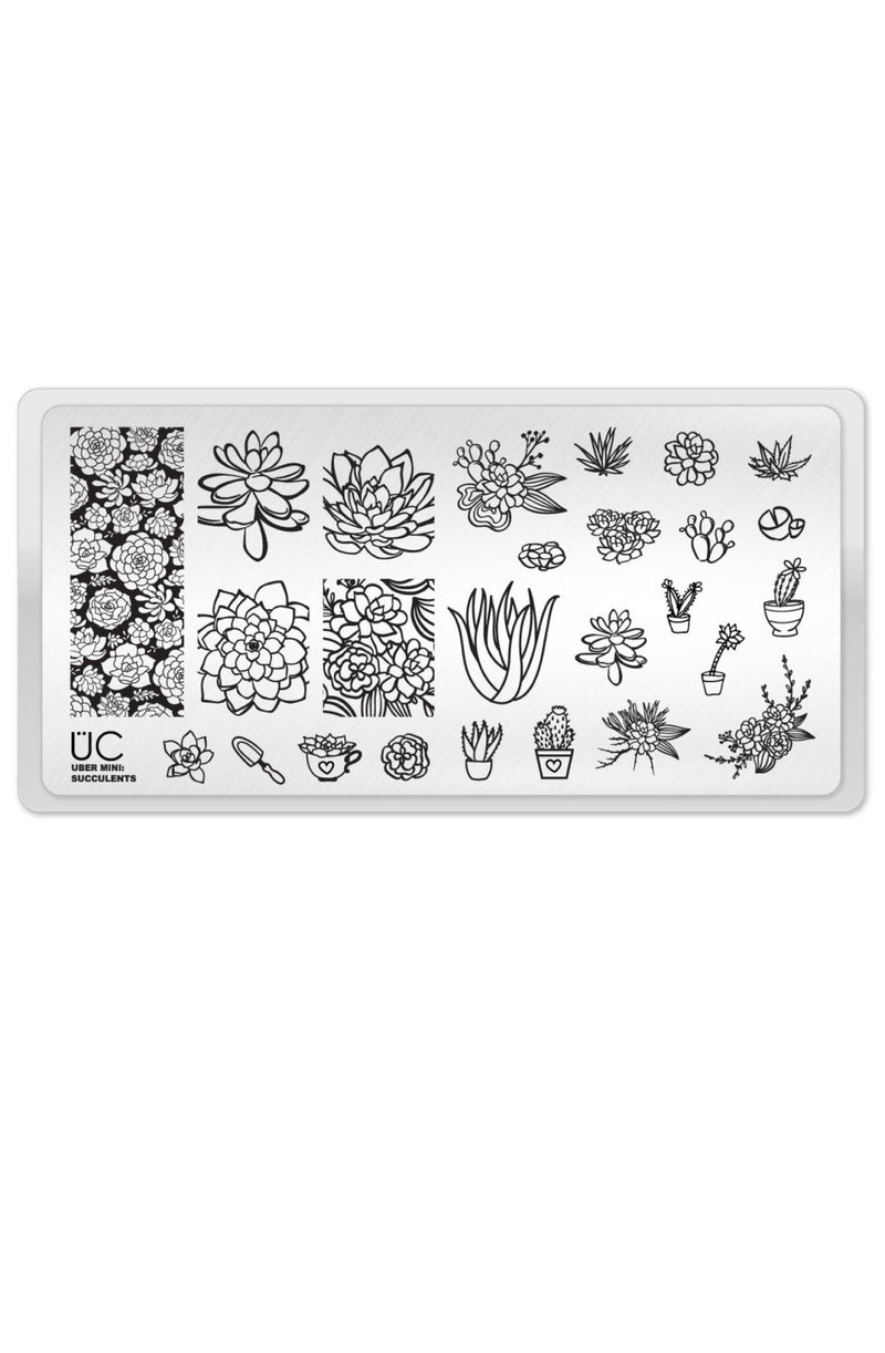 Succulents - Cordoza Nail Supply