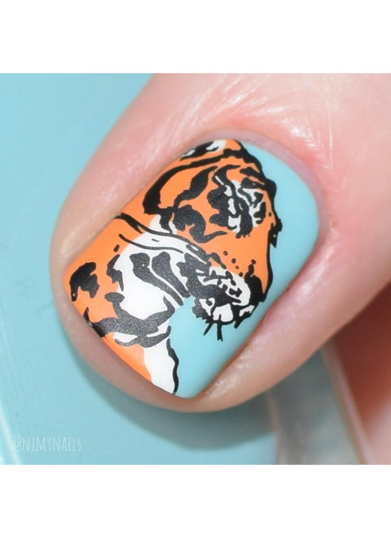 Wild & Fierce: Big Cats - Cordoza Nail Supply